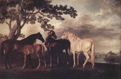 George Stubbs Mares and Foais in a Landscape (nn03) oil painting image